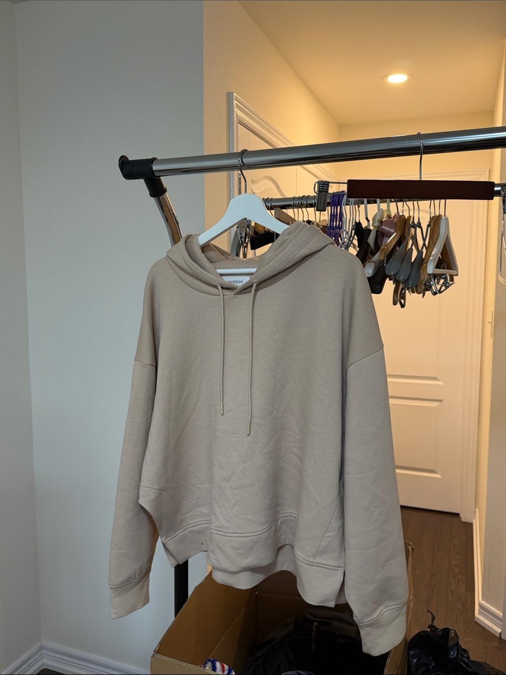 Beige Minimalist Pullover Hoodie